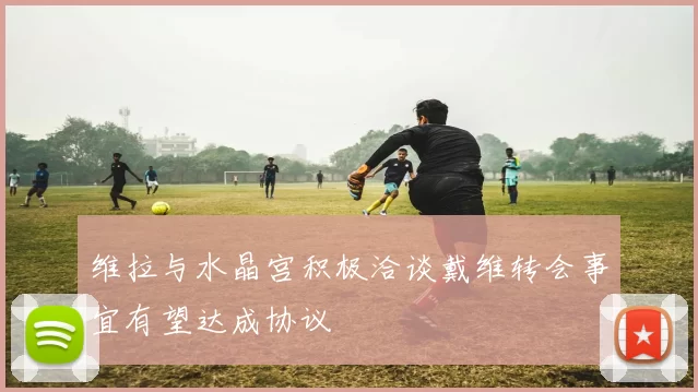 维拉与水晶宫积极洽谈戴维转会事宜有望达成协议