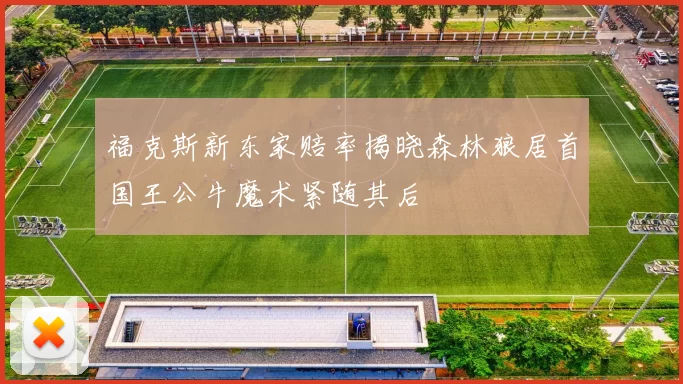 福克斯新东家赔率揭晓森林狼居首国王公牛魔术紧随其后